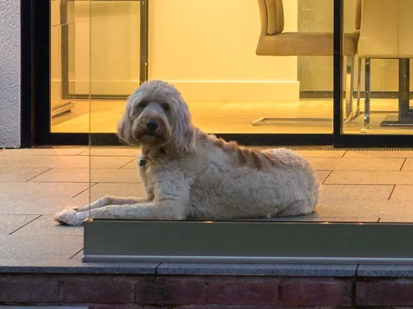 Bleakman Roof Lantern Extension Midlands